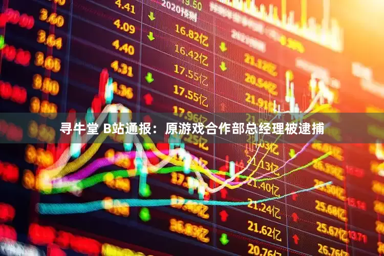 寻牛堂 B站通报：原游戏合作部总经理被逮捕