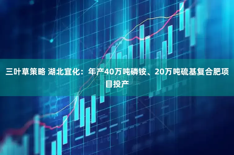 三叶草策略 湖北宜化：年产40万吨磷铵、20万吨硫基复合肥项目投产