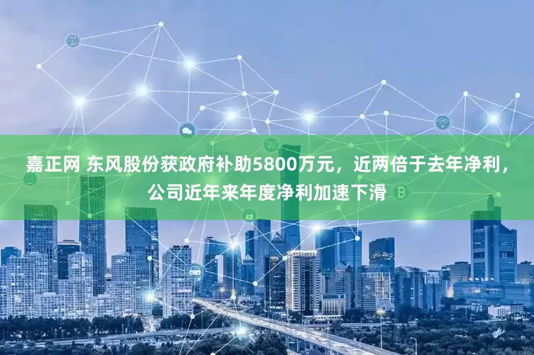 嘉正网 东风股份获政府补助5800万元，近两倍于去年净利，公司近年来年度净利加速下滑