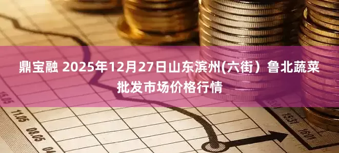 鼎宝融 2025年12月27日山东滨州(六街）鲁北蔬菜批发市场价格行情