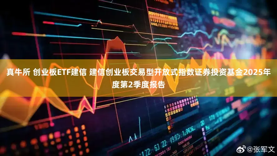 真牛所 创业板ETF建信 建信创业板交易型开放式指数证券投资基金2025年度第2季度报告
